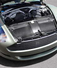 Load image into Gallery viewer, Carbon Fiber Slam Panel - Aston Martin