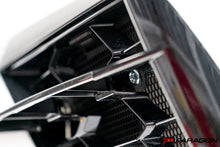 Load image into Gallery viewer, PARAGON PERFORMANCE C8 CORVETTE OEM STYLE GRILL / RADIATOR GUARDS
