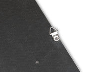 Load image into Gallery viewer, Fabspeed Carbon Fiber Wall Art - Aston Martin