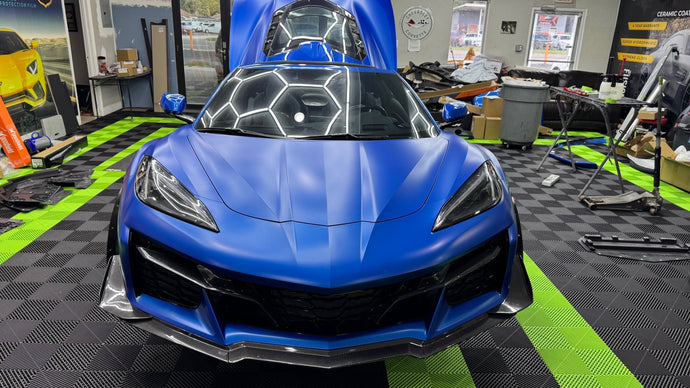 How Paint Protection Film Protects Your Car from Florida’s Love Bugs