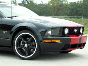 2005-2009 MUSTANG - CUSTOM RACING STRIPES  PREMIUM VINYL, CHOOSE COLOR