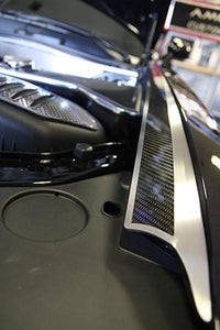 2008-2023 CHALLENGER - CARBON FIBER FENDER CAPS | LED COLORS AVAILABLE