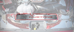 2015-2017 MUSTANG GT- RADIATOR COVER VANITY PLATE 'PONY & MUSTANG' | BRUSHED, CHOOSE COLOR