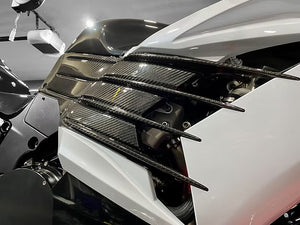 AGM ZX14R 12+ Carbon Fiber Side Gills from AG Motorsports