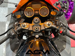 AGM ZX14R 12+ Carbon Fiber Ram Air / Dash Panels from AG Motorsports