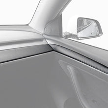 Load image into Gallery viewer, Fabspeed Tesla Model Y (2021+) Carbon Fiber Dashboard + Door trim
