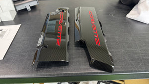 Corvette C7 LT1 Stingray Carbon Fiber Painted Fuel Rail Engine Covers OEM GM
