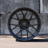 NBR1 - 2