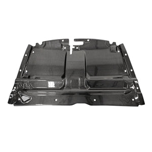 Carbon Fiber Slam Panel - Aston Martin