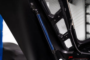 C8 CORVETTE CARBON FIBER HOOD STRUTS - BLUE| PARAGON PERFORMANCE