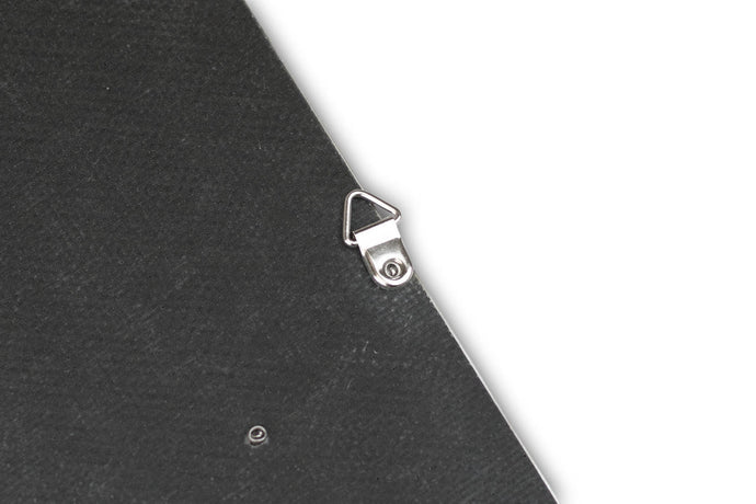 Fabspeed Carbon Fiber Wall Art - Fabspeed