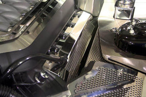 2010-2014 MUSTANG GT - FUEL RAIL COVERS PERFORATED | POLISHED STAINLESS