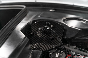 PARAGON C8 CORVETTE CARBON FIBER REAR STRUT TOWER COVERS