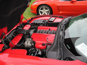 Corvette C5 Z06 Custom Painted Carbon Fiber Fuel Rail Engine Covers OEM GM