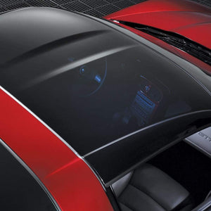 OEM GM Corvette C6 Transparent Roof Panel Coupe 2005 - 2013  - Crash Panel No Hardware