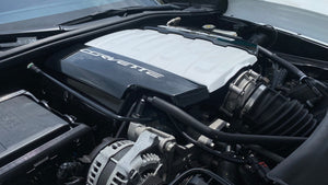 Corvette C7 LT1 Stingray Carbon Fiber Painted Fuel Rail Engine Covers OEM GM